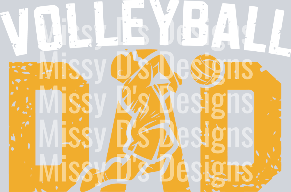 Volleyball Dad