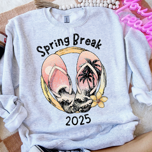 Spring Break 2025 SHIRT