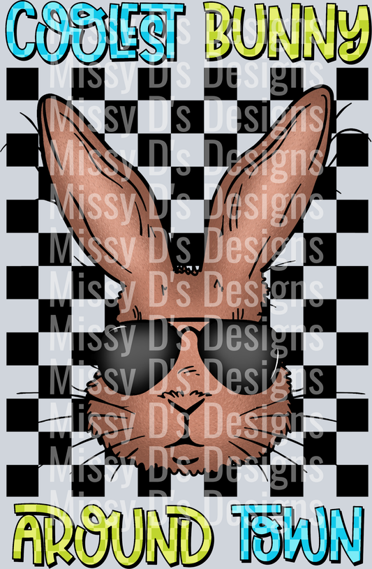 CoolestBunnyAroundTown_3