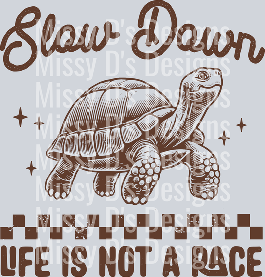 04_Turtle-Brown