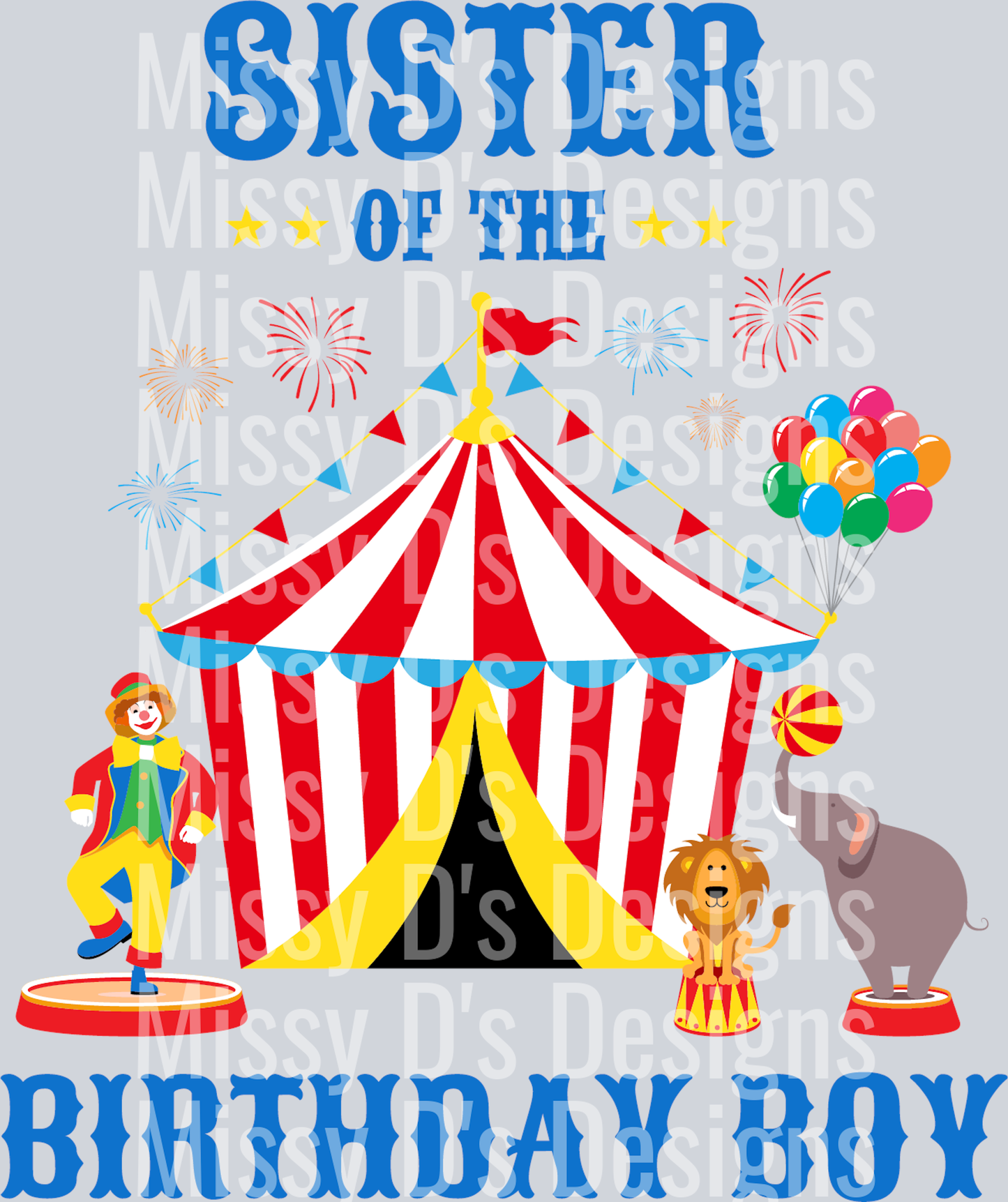 Sister Birthday Boy Circus I