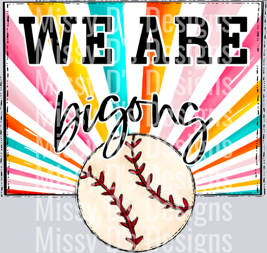 sunburst WE ARE bisons baseball