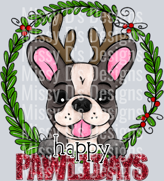 french bulldog
