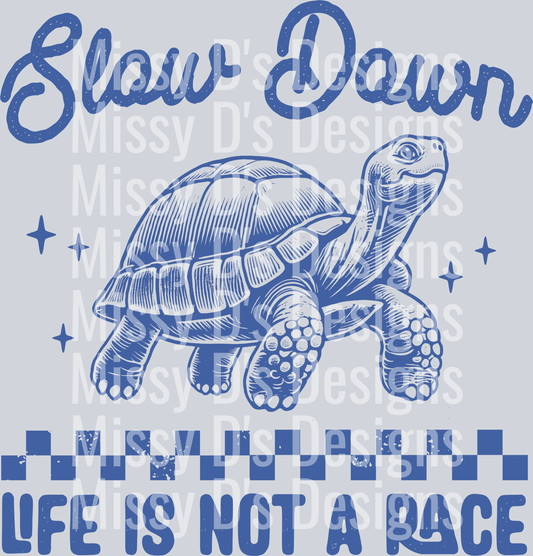 04_Turtle-Blue