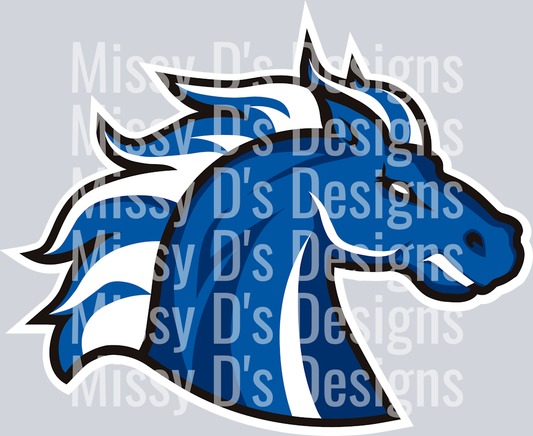 North-Mesquite-Stallions-large-1 (1)