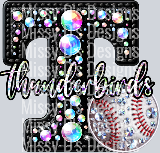 leather baseball thunderbirds