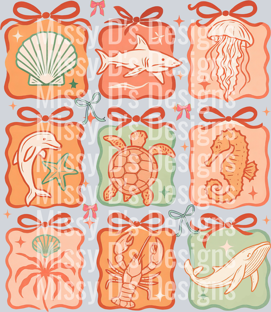 Seashels Coquette