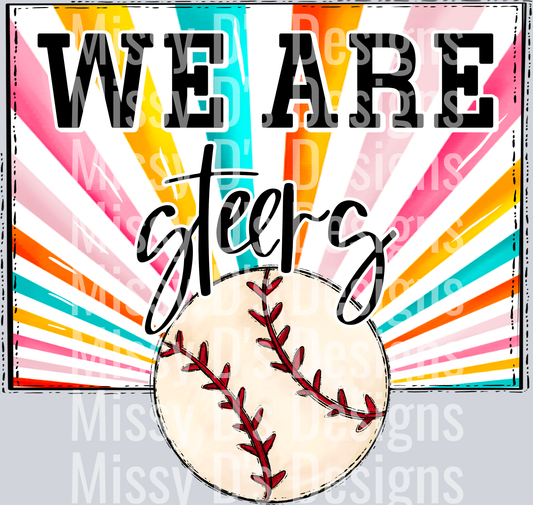 sunburst WE ARE steers baseball