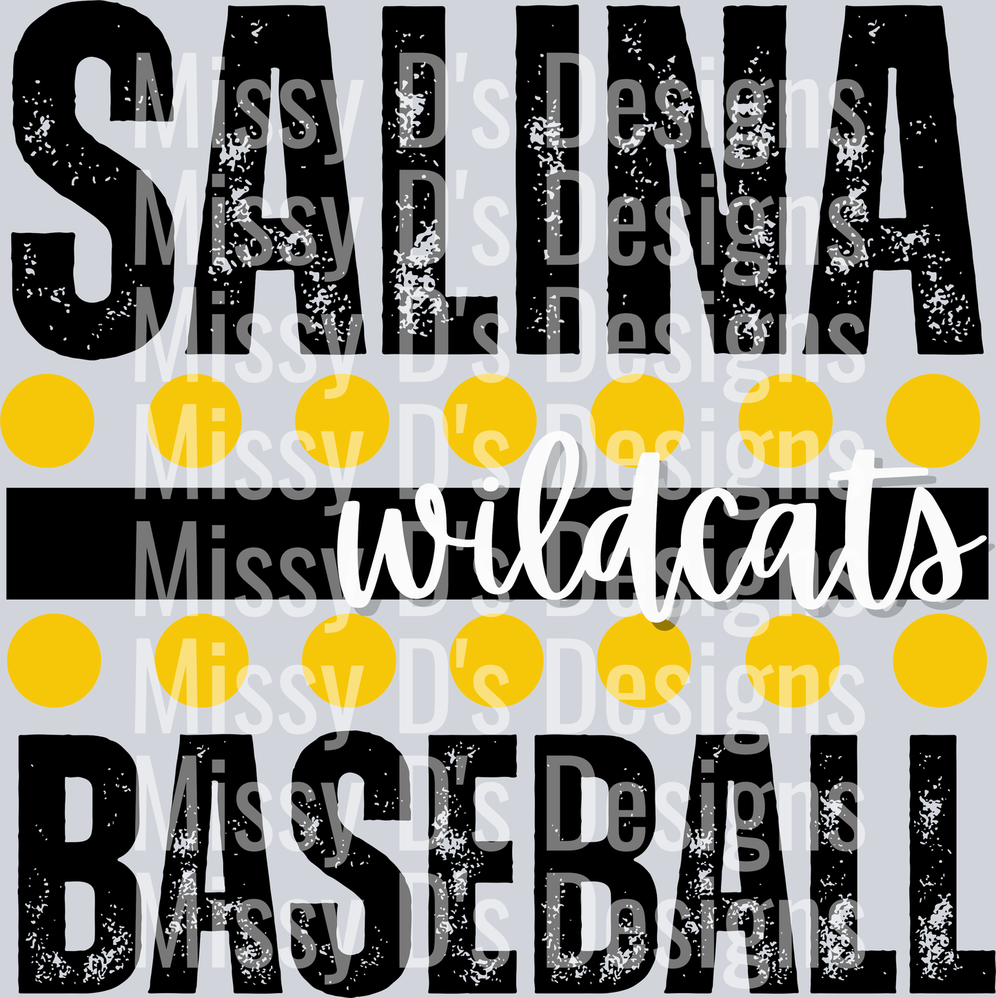 SalinaWildcatsBaseball