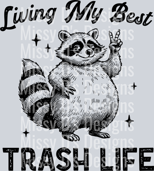 07_Raccoon-Black