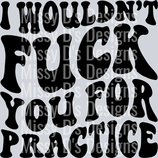 I Wouldnt Fuck You For Practice