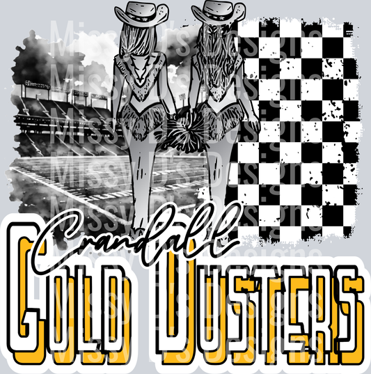 Gold Dusters Drill Team Pirates 1016