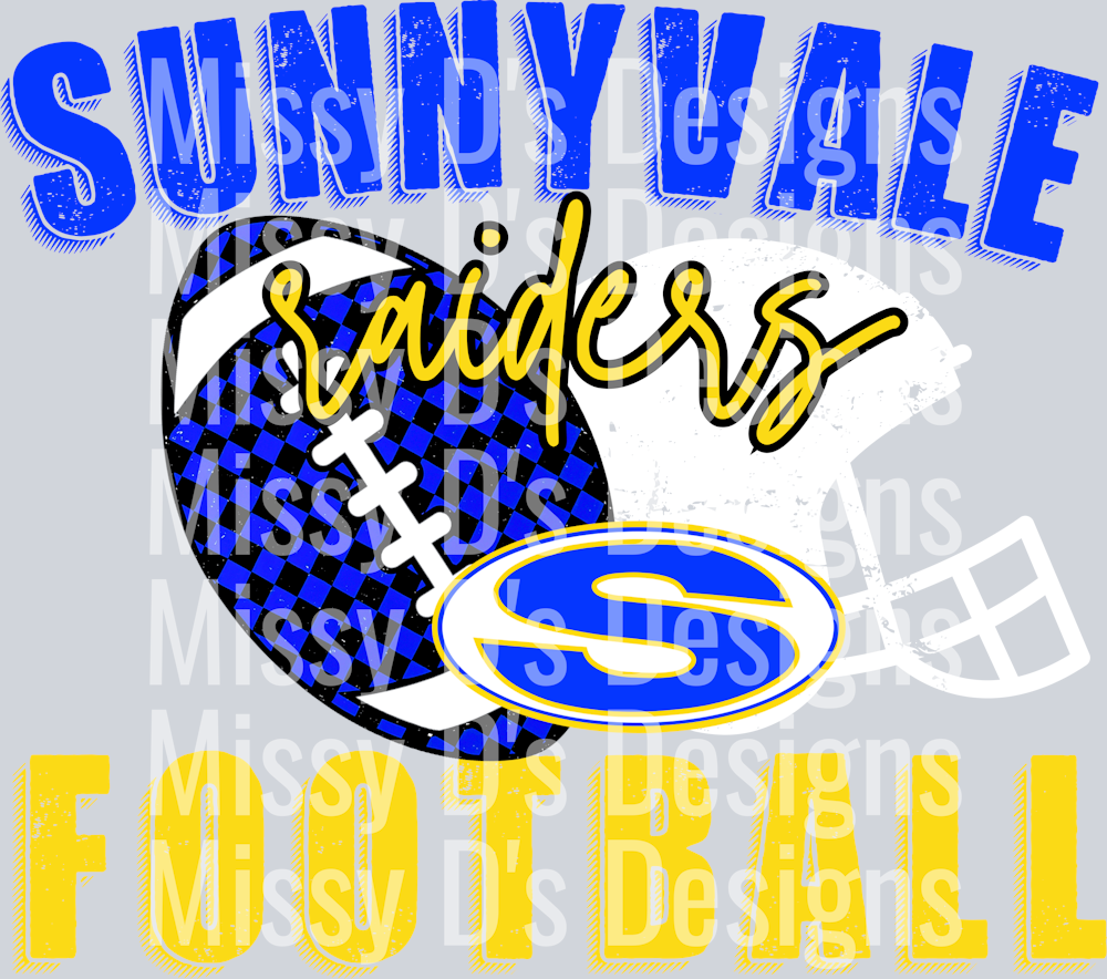 sunnyvale raiders (2)