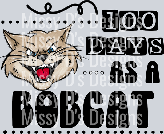 BOBCAT 100 DAYS