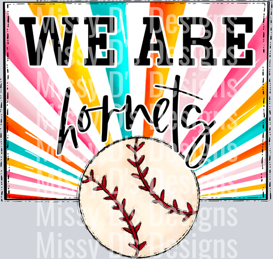 sunburst WE ARE hornets baseball