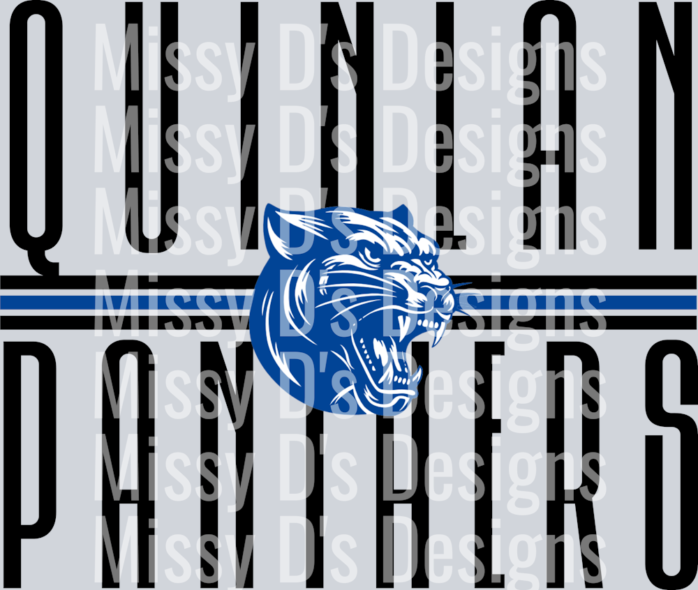 quinlan panthers