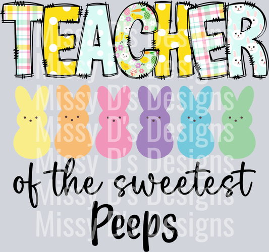 Teacher