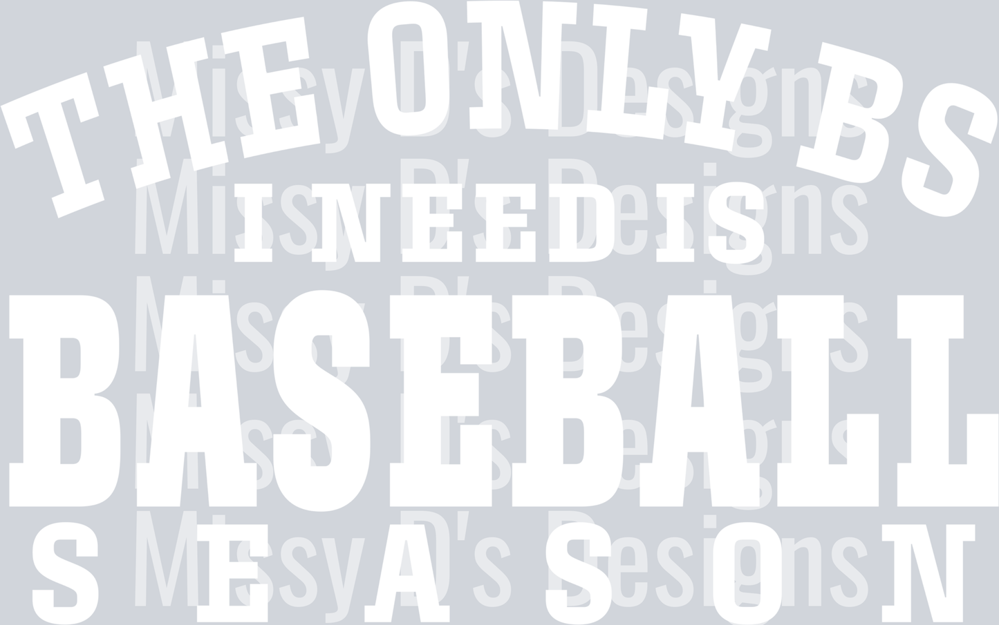 The Only BS I Need is Baseball SEason (2)