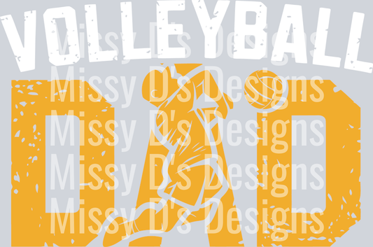 Volleyball Dad