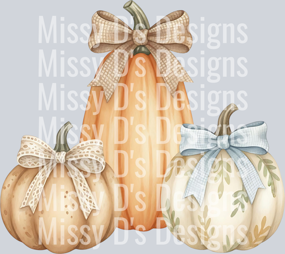 Pumpkin Group 3 - 6