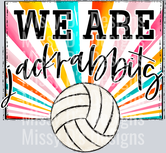 sunburst WE ARE jackrabbits vball