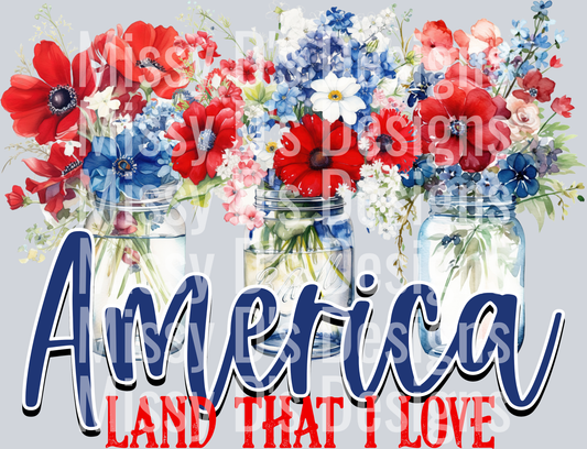 America Land that I Love