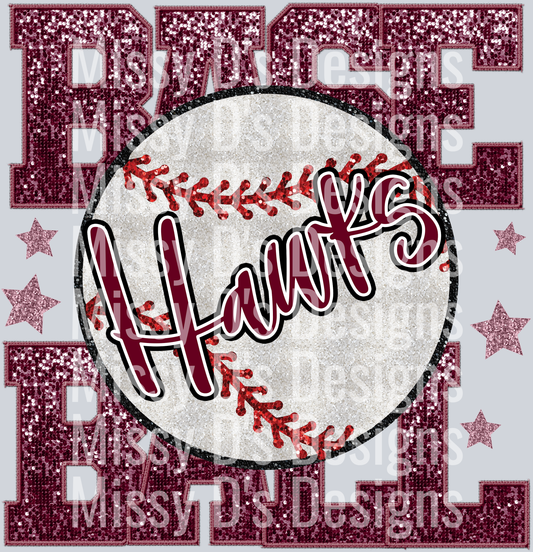 baseball Hawks