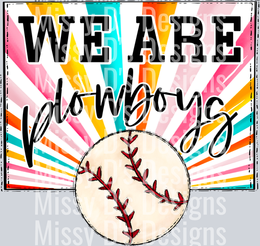 sunburst WE ARE plowboys baseball
