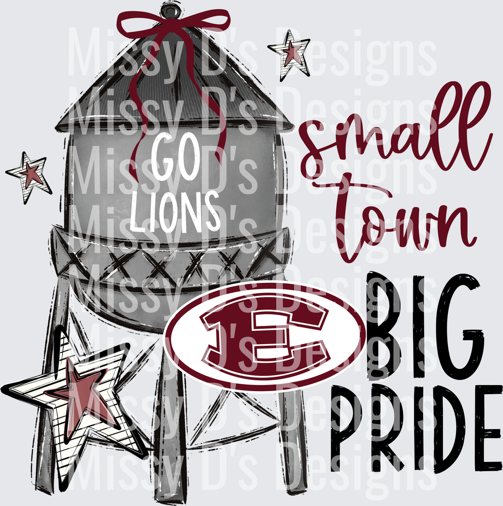 Small Town Big Pride ennis lions