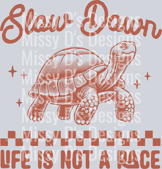 04_Turtle-RedBrown