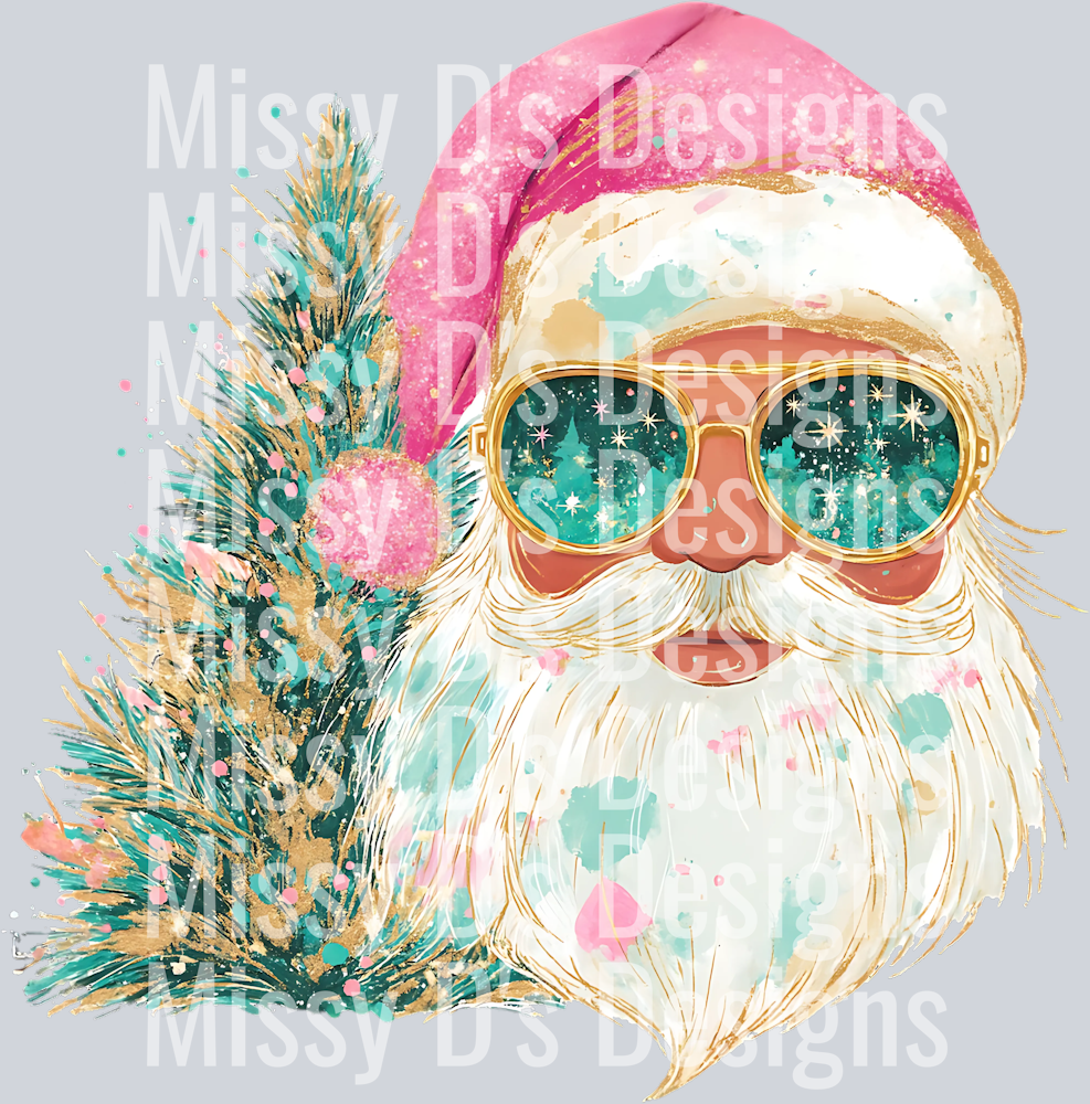 Santa with hat