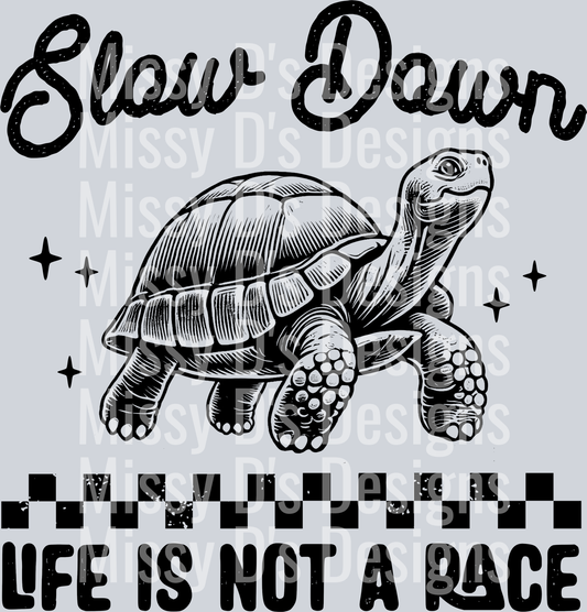04_Turtle-Black