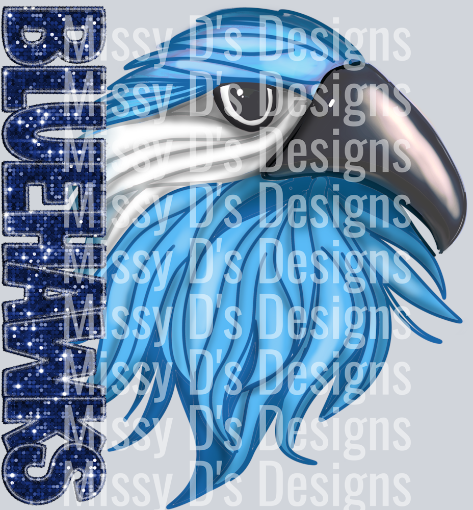 blue hawks 2
