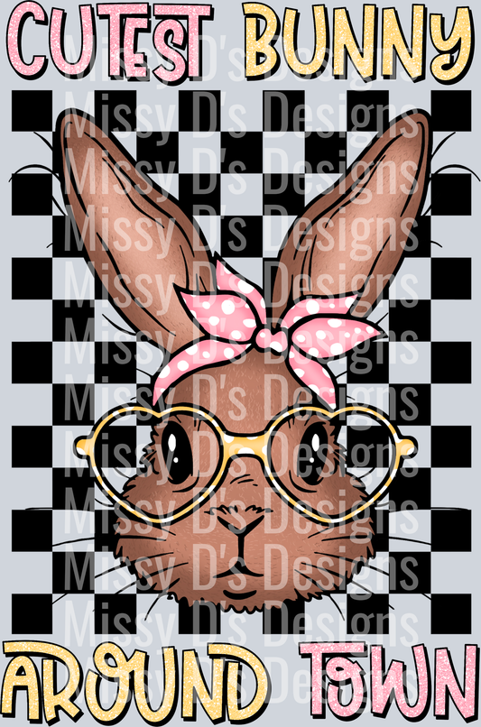 Cutest Bunny Around Town_3